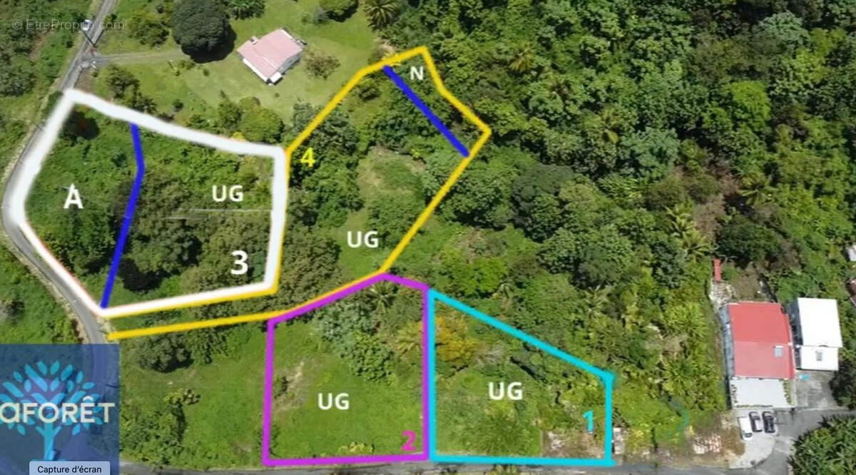 Terrain à CAPESTERRE-BELLE-EAU