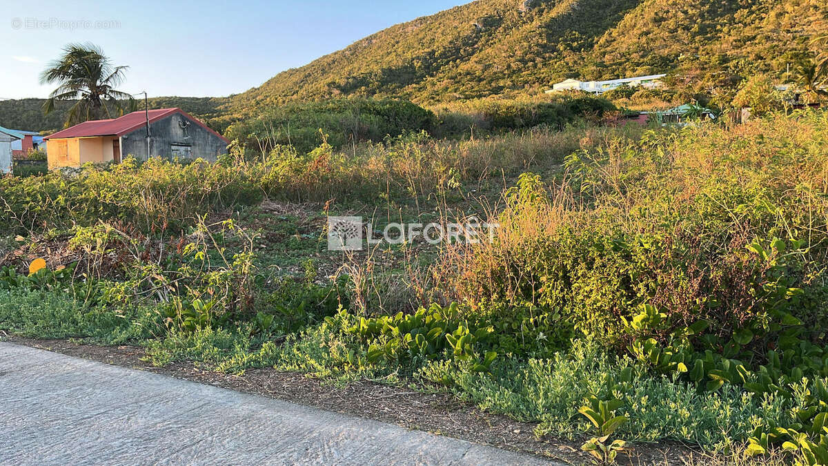 Terrain à LA DESIRADE