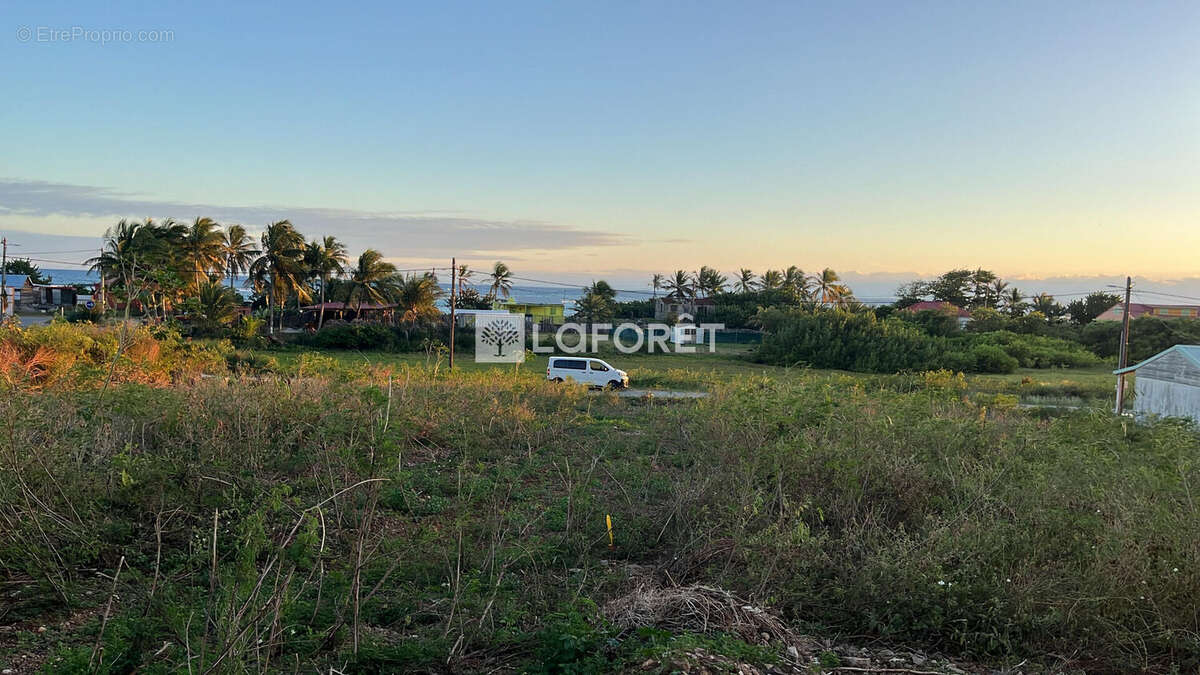 Terrain à LA DESIRADE