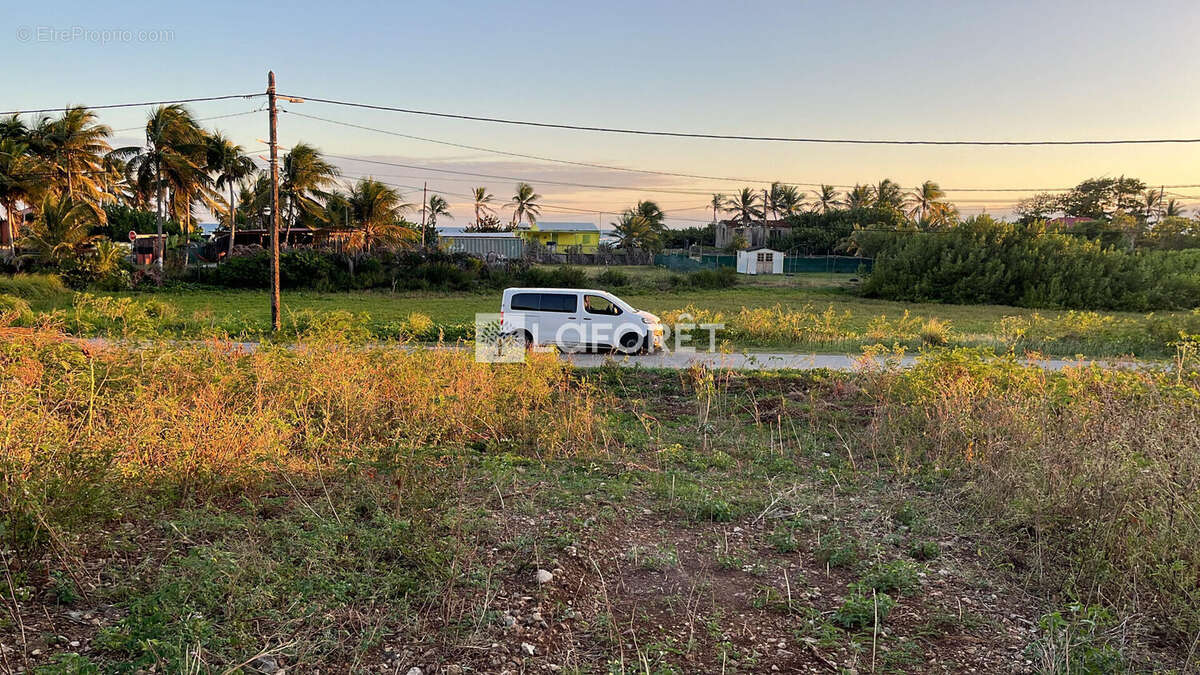 Terrain à LA DESIRADE