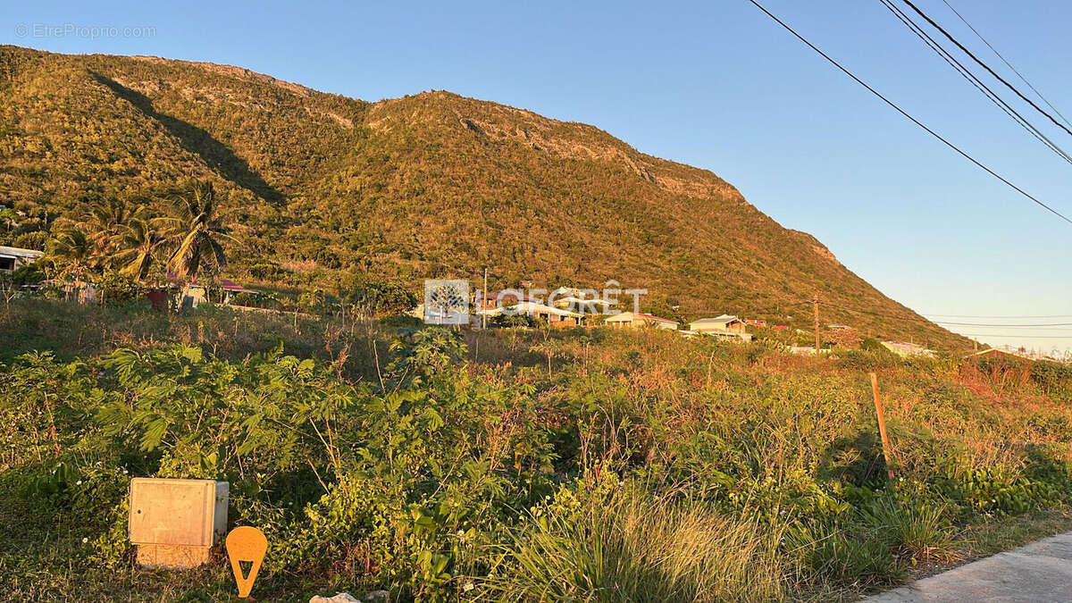 Terrain à LA DESIRADE