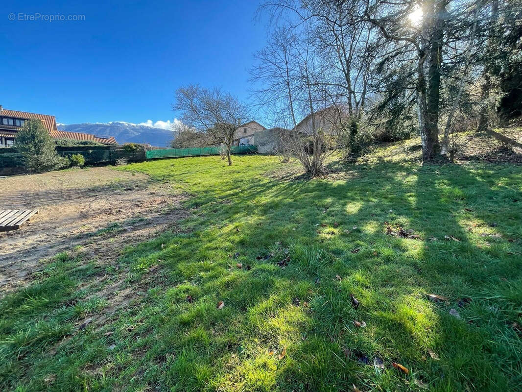 Terrain à BRIE-ET-ANGONNES