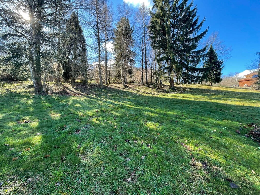 Terrain à BRIE-ET-ANGONNES