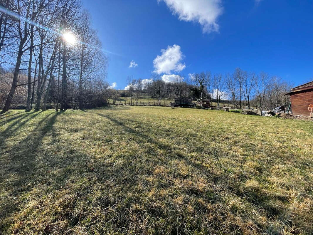 Terrain à BRIE-ET-ANGONNES