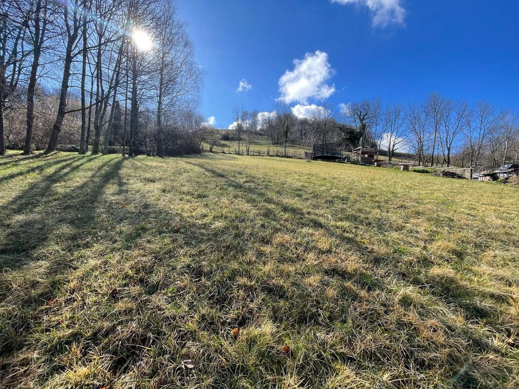 Terrain à BRIE-ET-ANGONNES