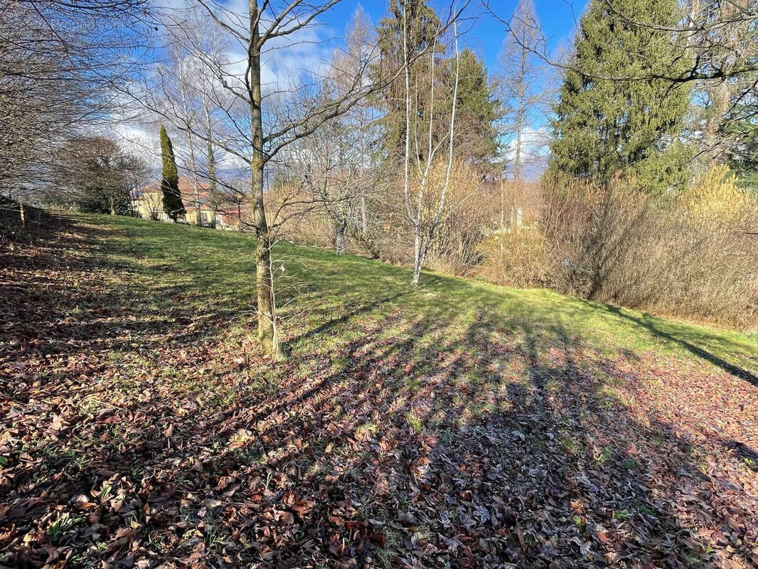 Terrain à BRIE-ET-ANGONNES