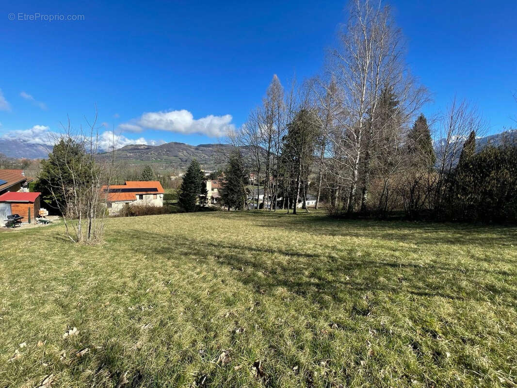 Terrain à BRIE-ET-ANGONNES