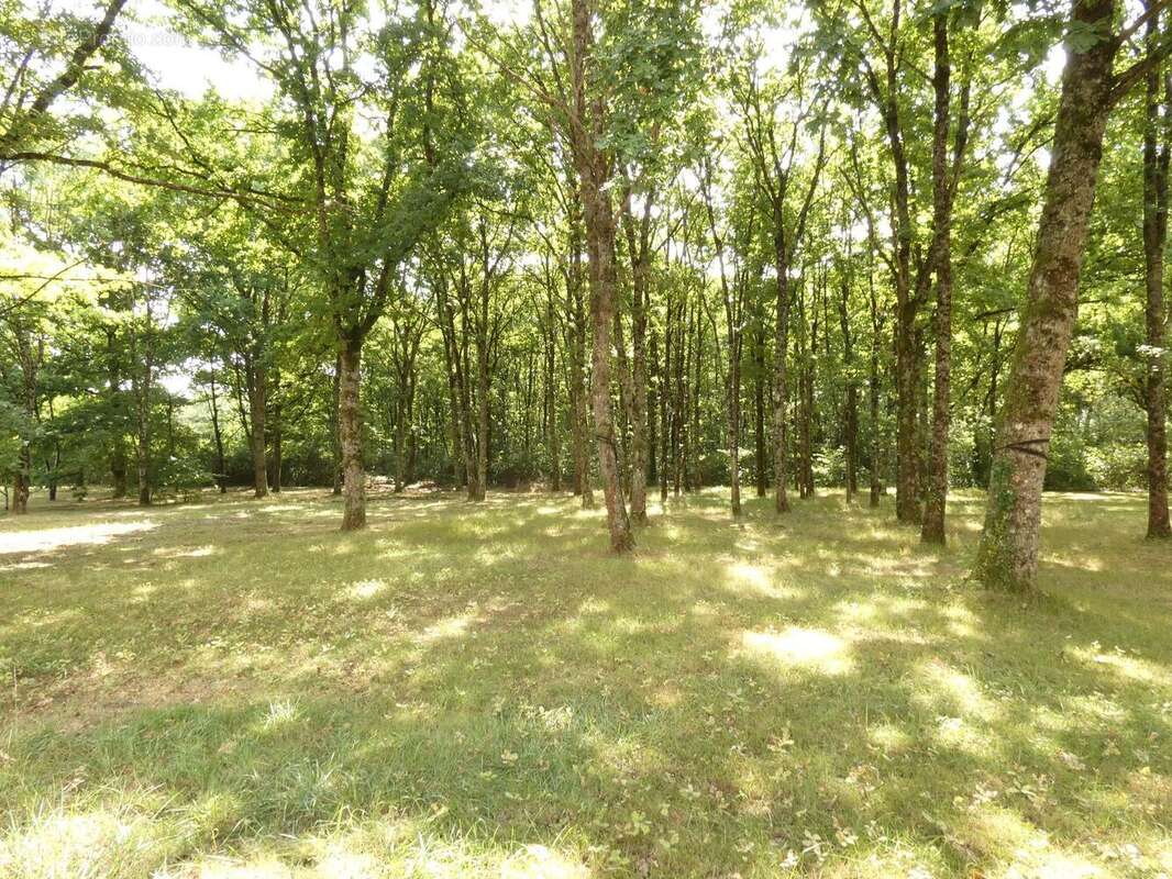 Maison à VIENNE-EN-VAL