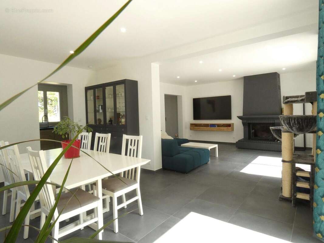 Maison à VIENNE-EN-VAL