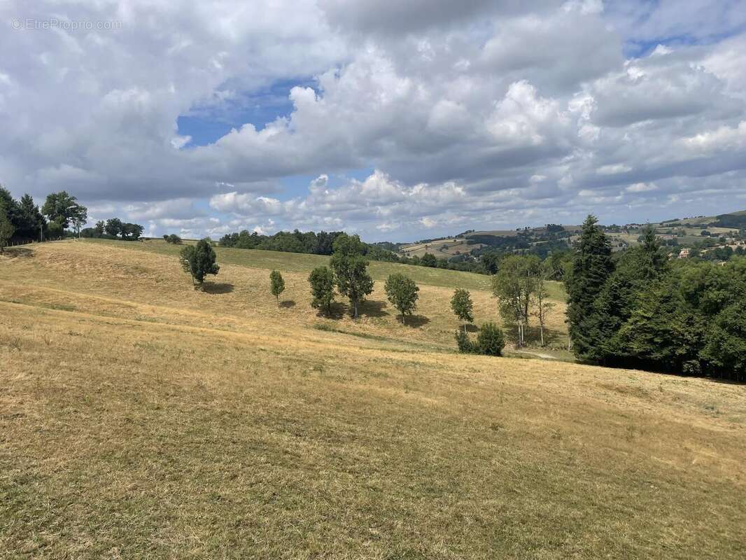 Photo 3 - Maison à THIZY