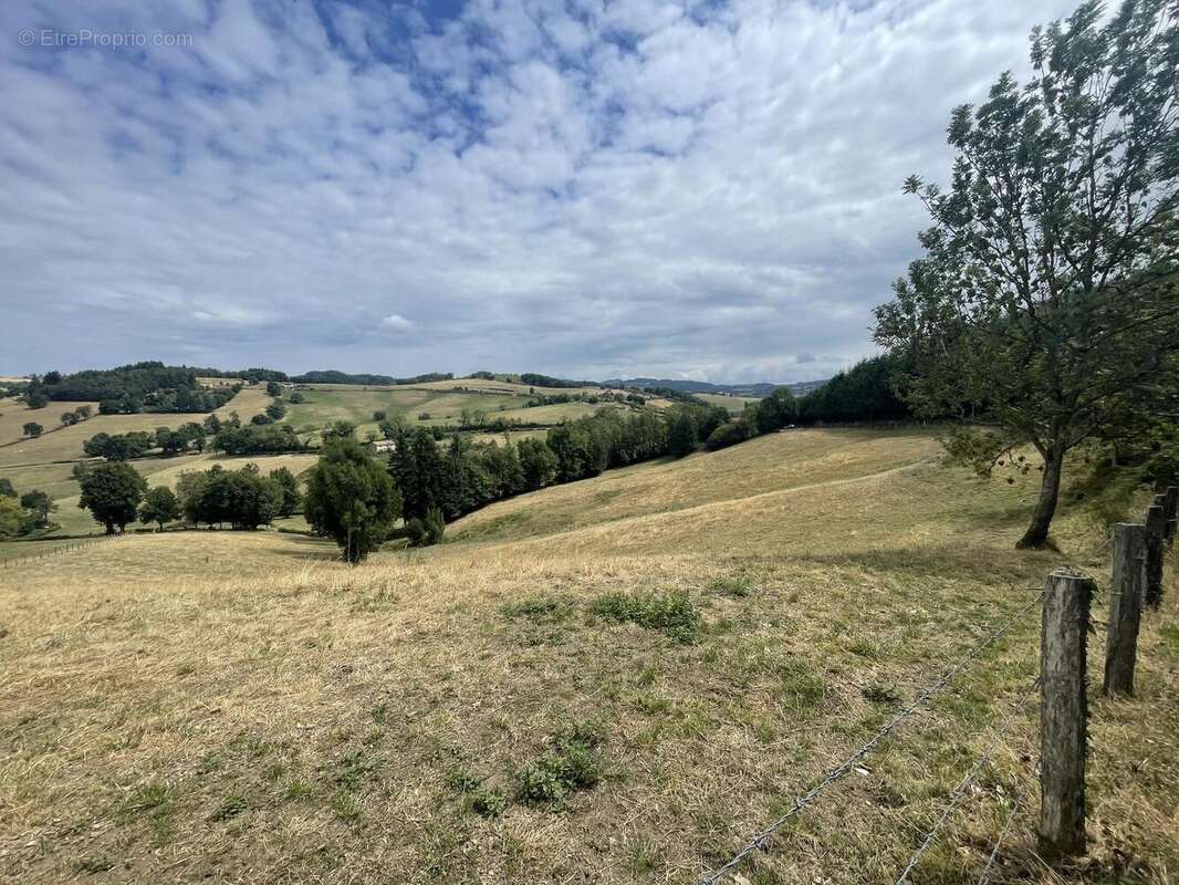 Photo 4 - Maison à THIZY