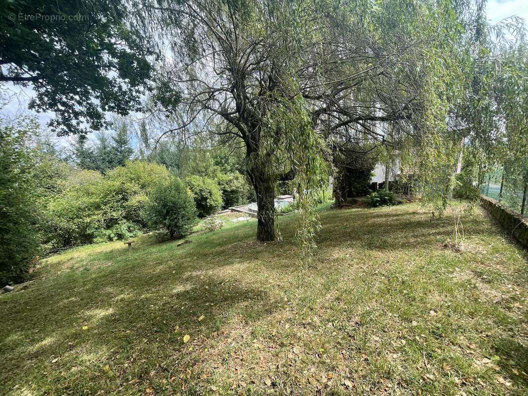 Photo 5 - Maison à THIZY