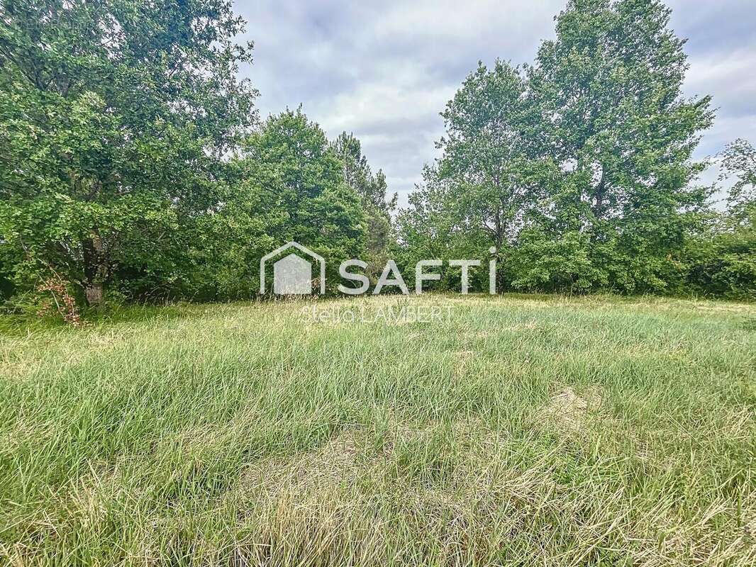 Photo 2 - Terrain à MONCLAR-DE-QUERCY