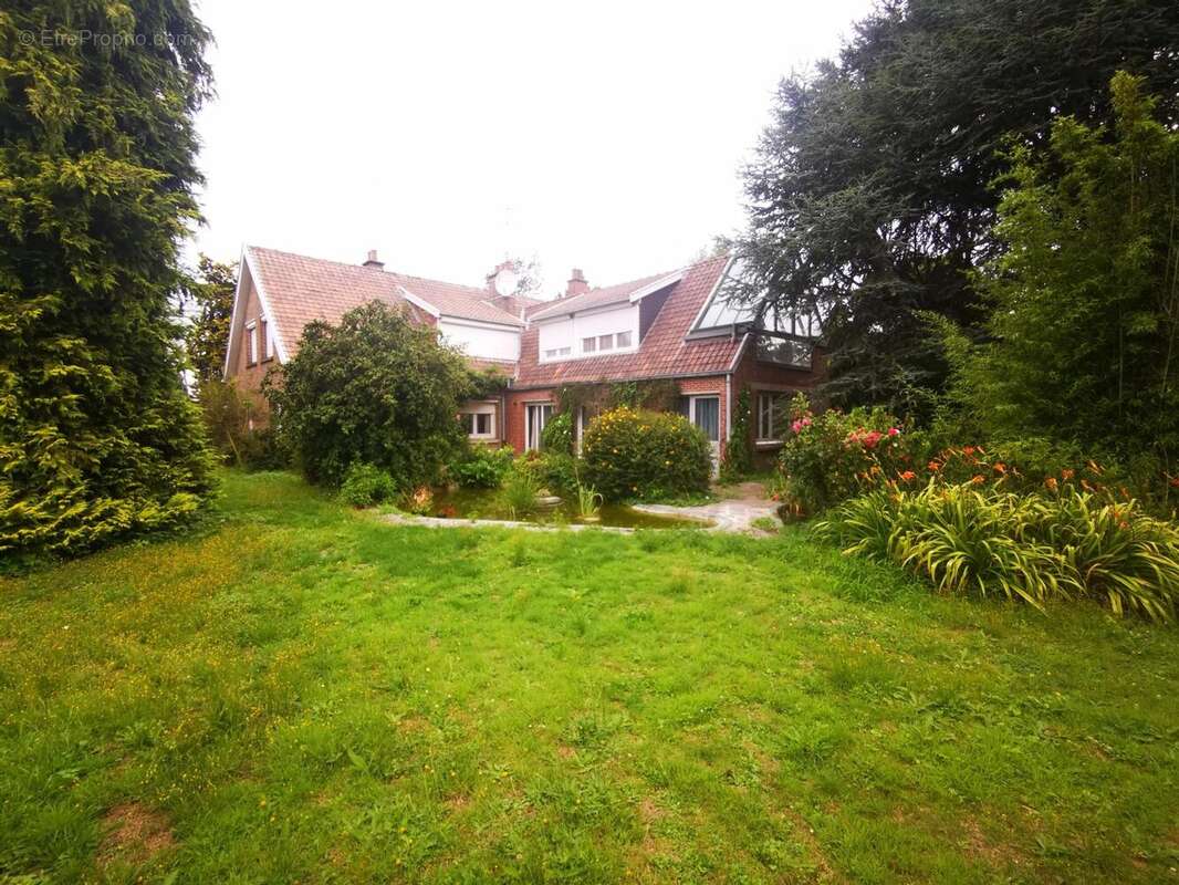 Photo 4 - Maison à SAINGHIN-EN-MELANTOIS