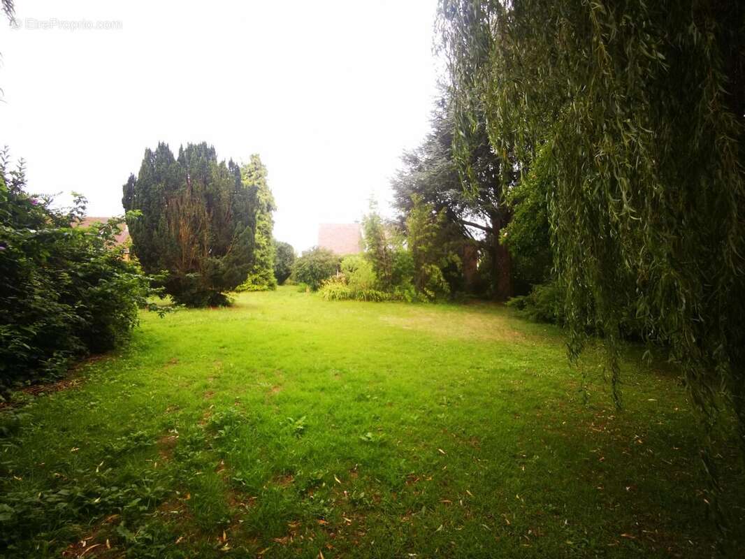 Photo 6 - Maison à SAINGHIN-EN-MELANTOIS