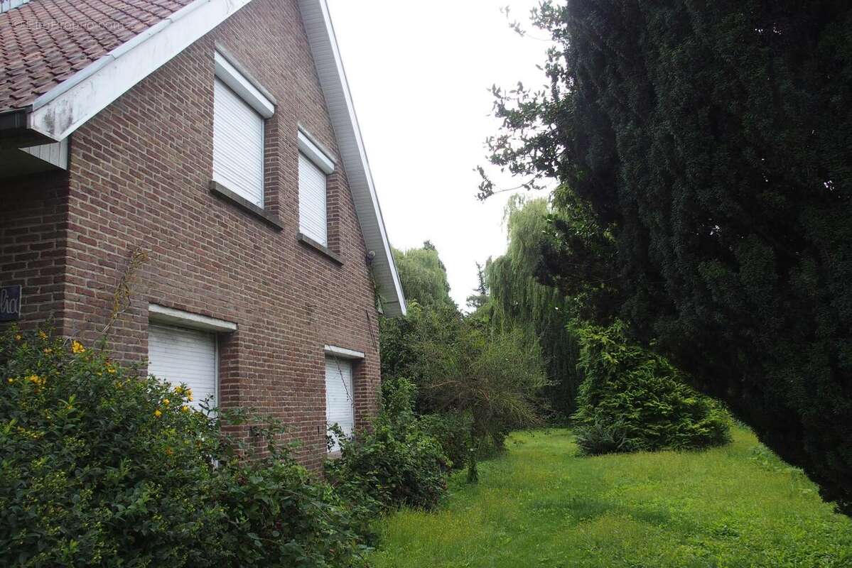 Photo 8 - Maison à SAINGHIN-EN-MELANTOIS