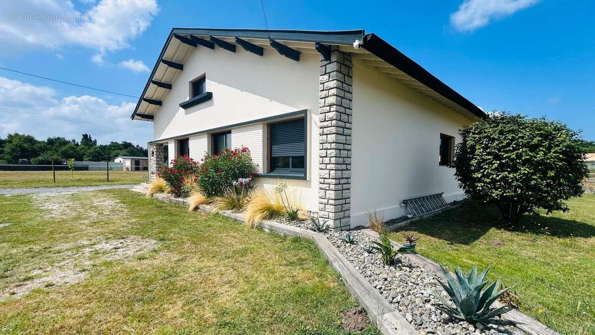 Photo 3 - Maison à SAUGNACQ-ET-MURET