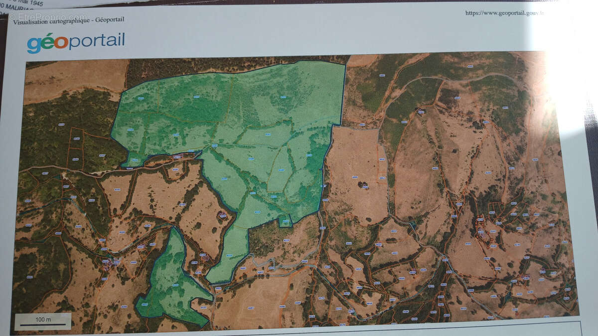 Terrain à FONTANGES