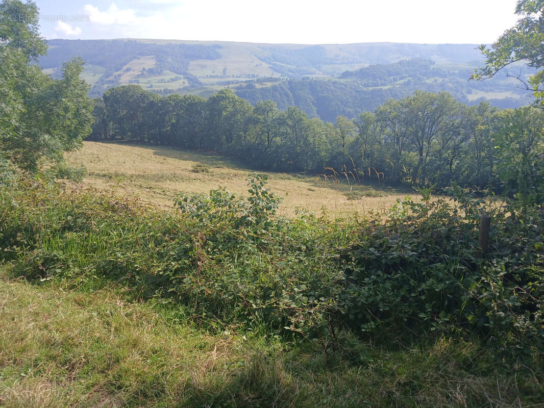 Terrain à FONTANGES