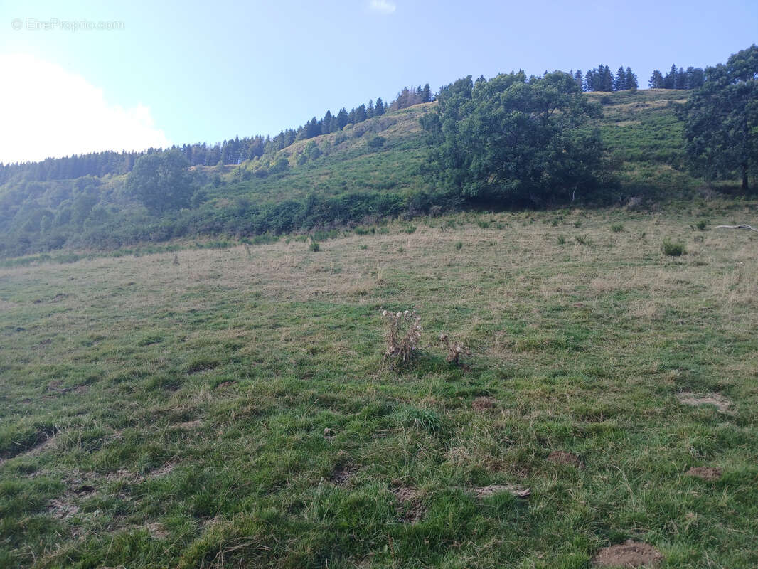 Terrain à FONTANGES