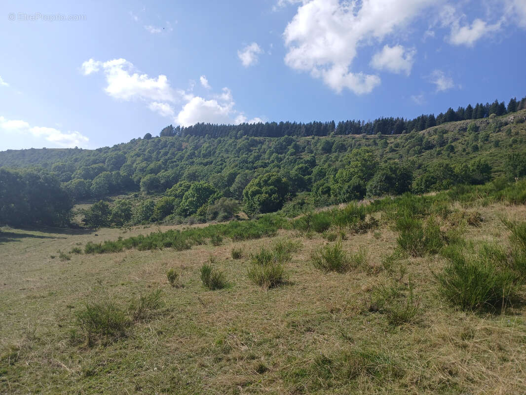 Terrain à FONTANGES