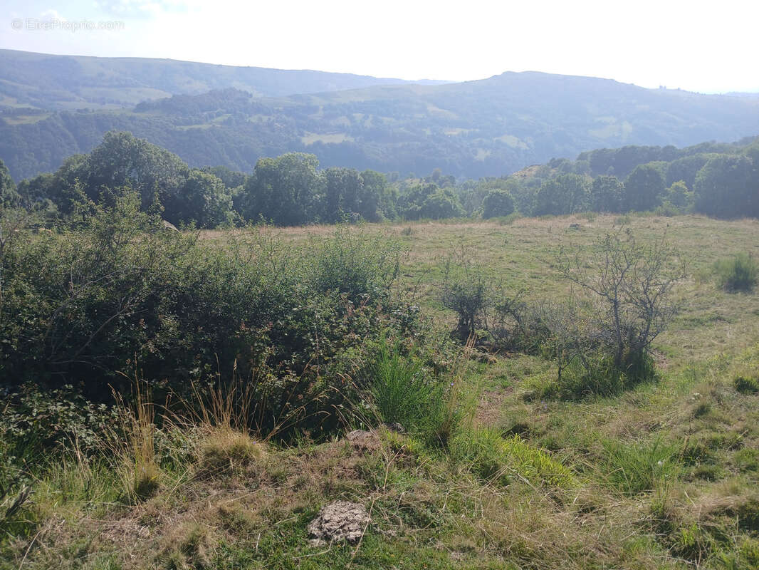 Terrain à FONTANGES