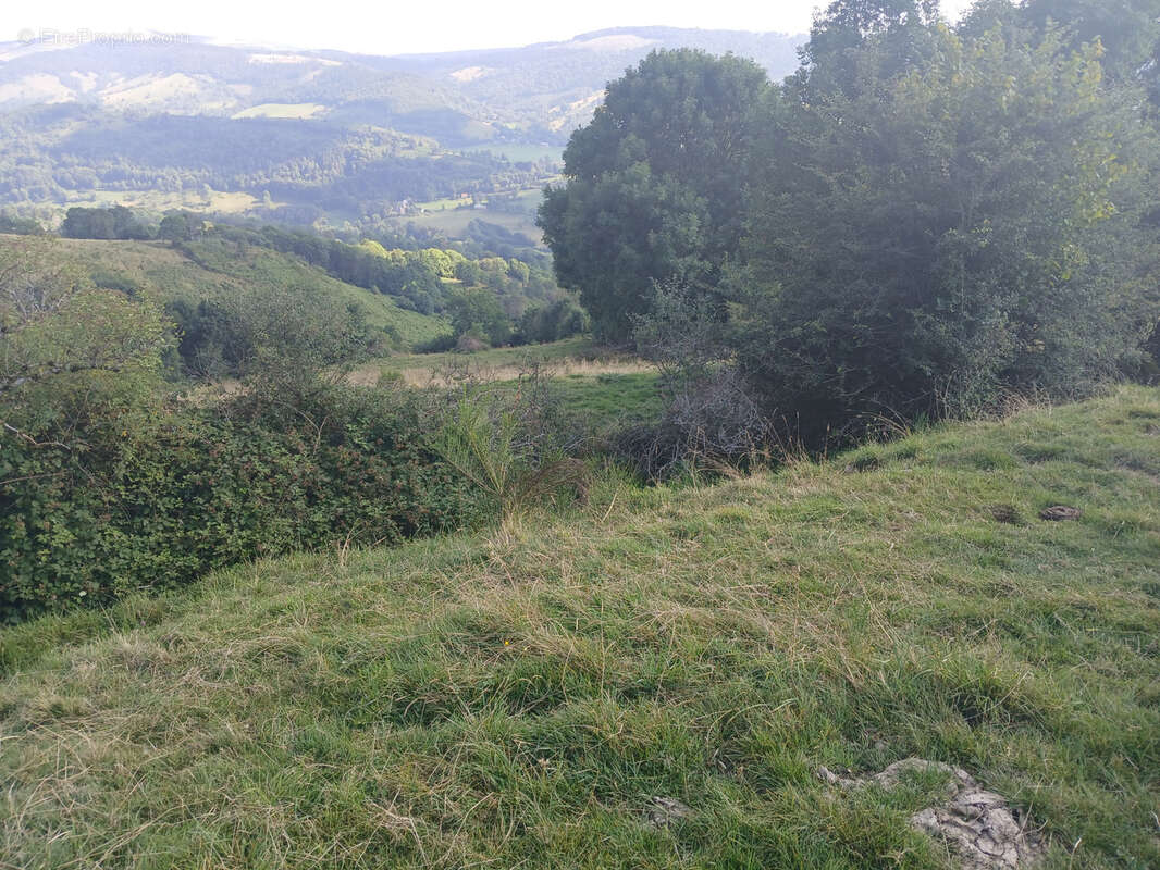 Terrain à FONTANGES