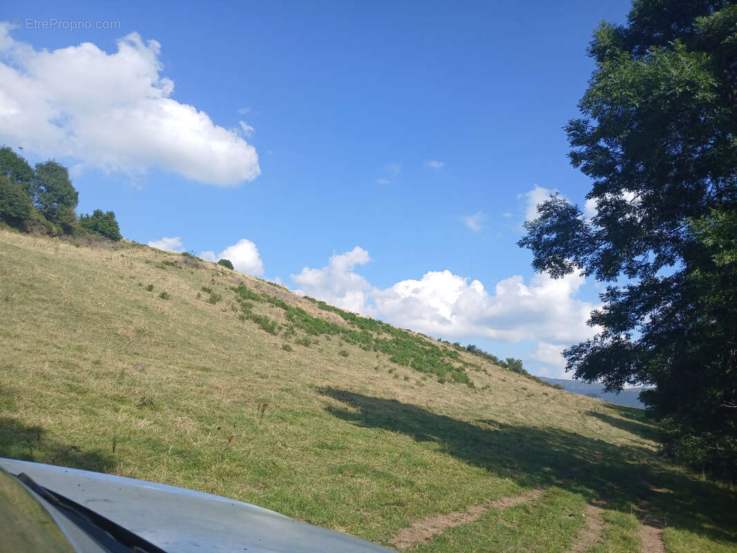 Terrain à FONTANGES