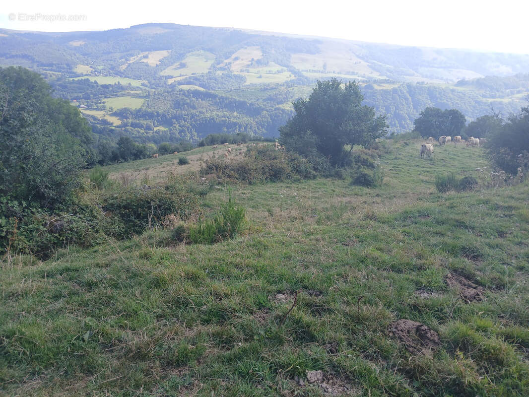 Terrain à FONTANGES