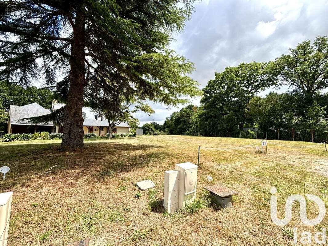 Photo 3 - Terrain à CESSON-SEVIGNE