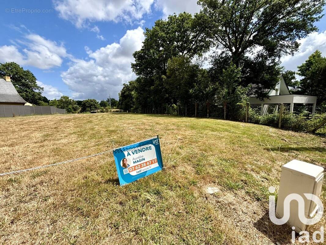 Photo 1 - Terrain à CESSON-SEVIGNE