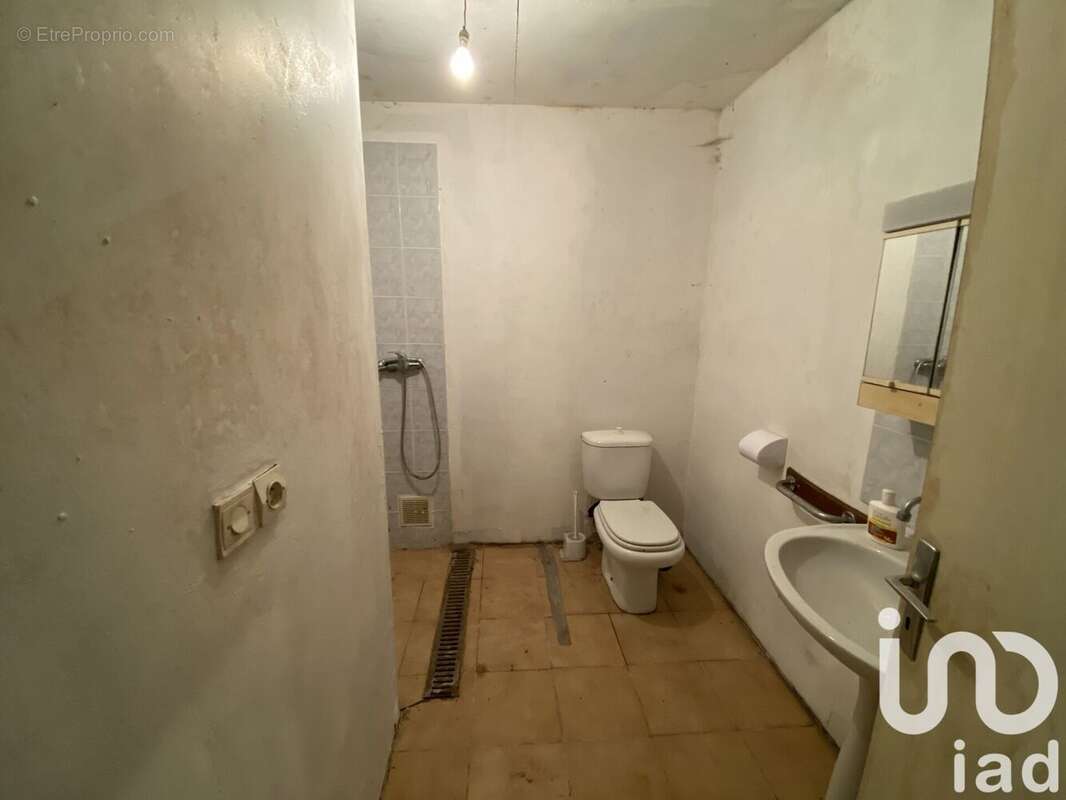 Photo 9 - Maison à THOURIE