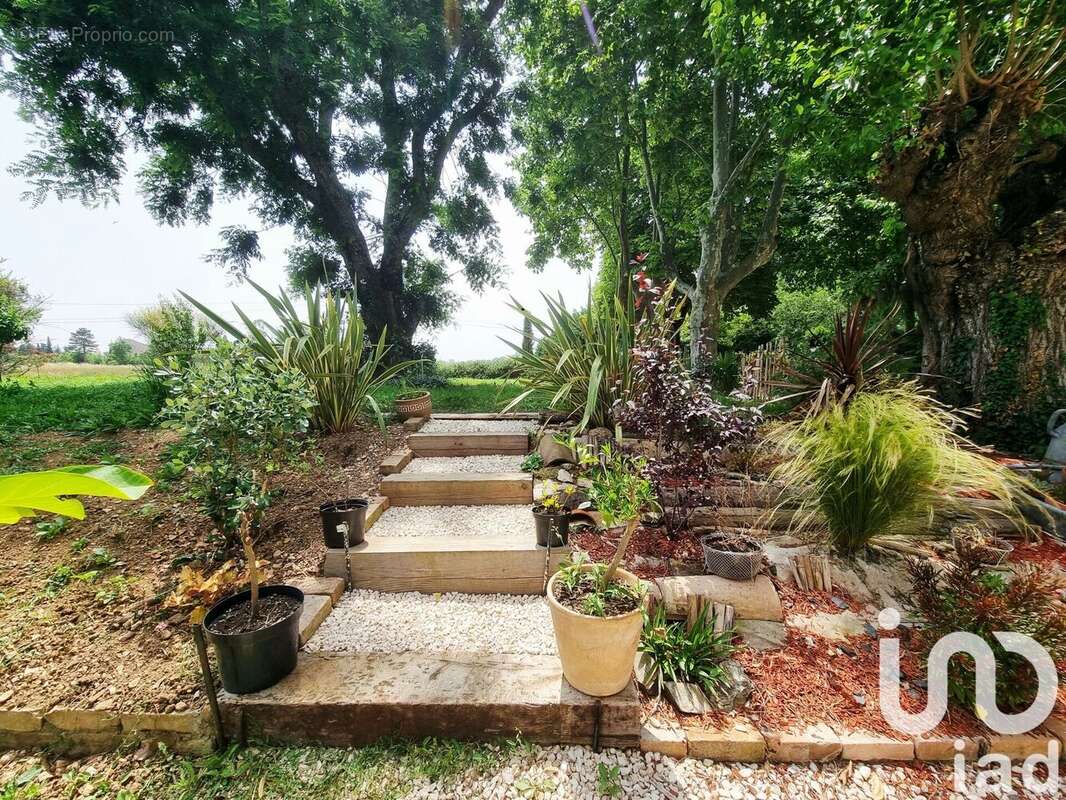 Photo 5 - Maison à ALLEGRE-LES-FUMADES