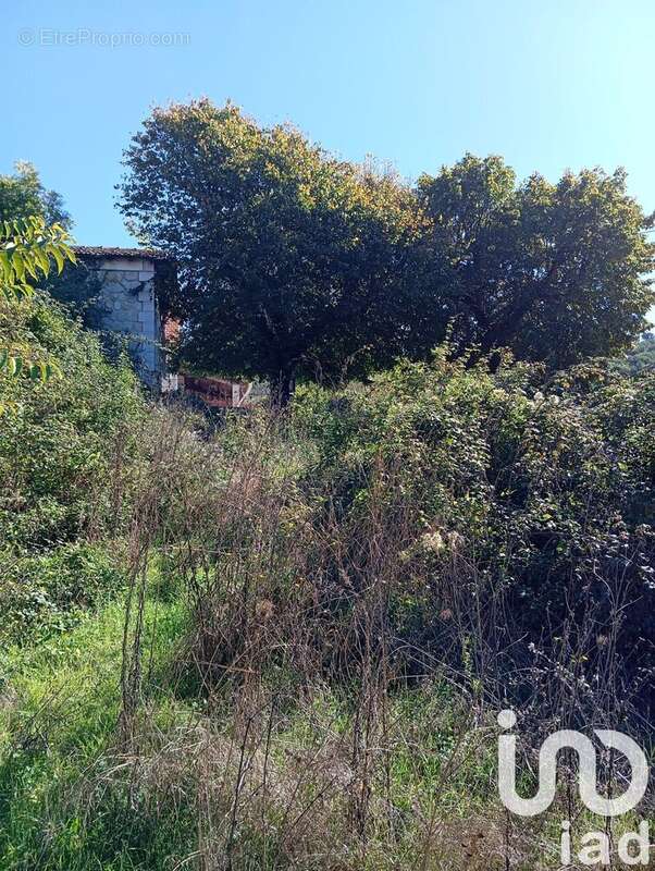 Photo 8 - Terrain à MOLLANS-SUR-OUVEZE