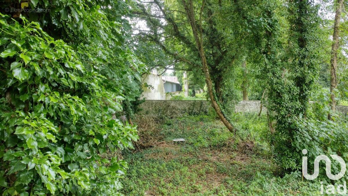 Photo 1 - Terrain à MONTCEAUX-LES-MEAUX