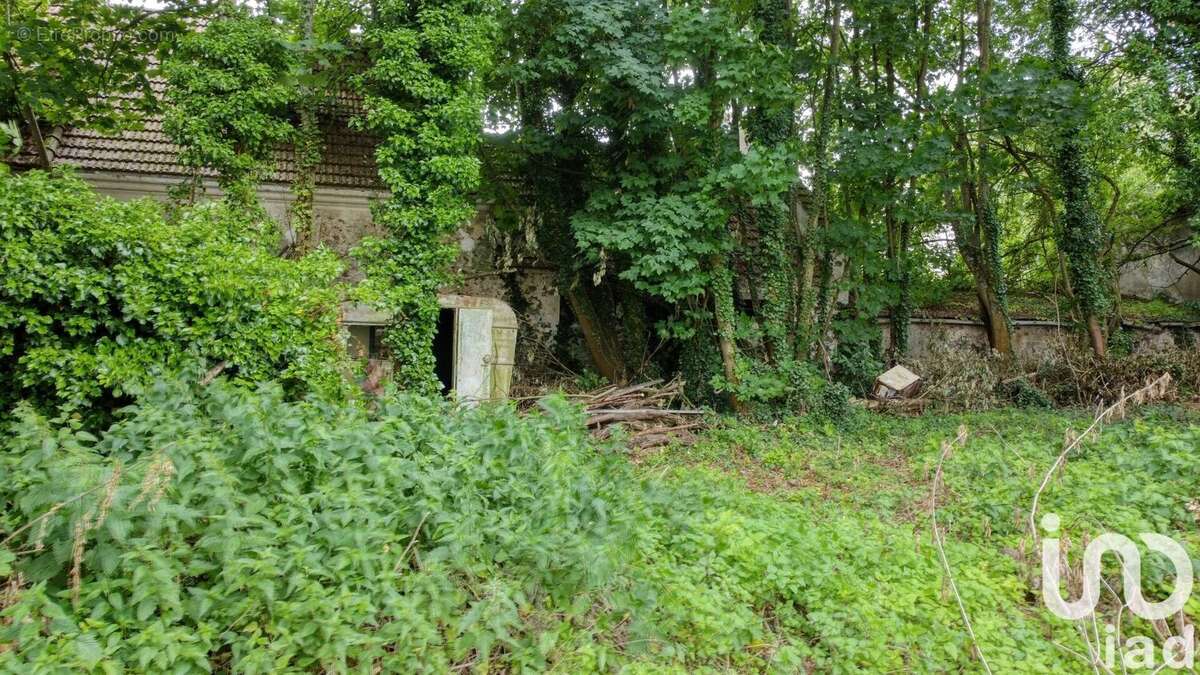 Photo 3 - Terrain à MONTCEAUX-LES-MEAUX