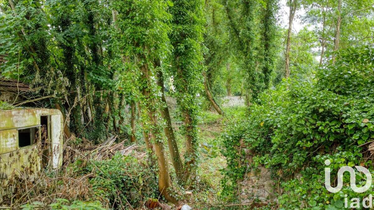 Photo 5 - Terrain à MONTCEAUX-LES-MEAUX