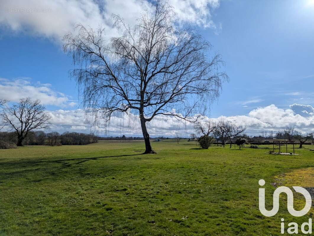 Photo 2 - Maison à BEDEILLE