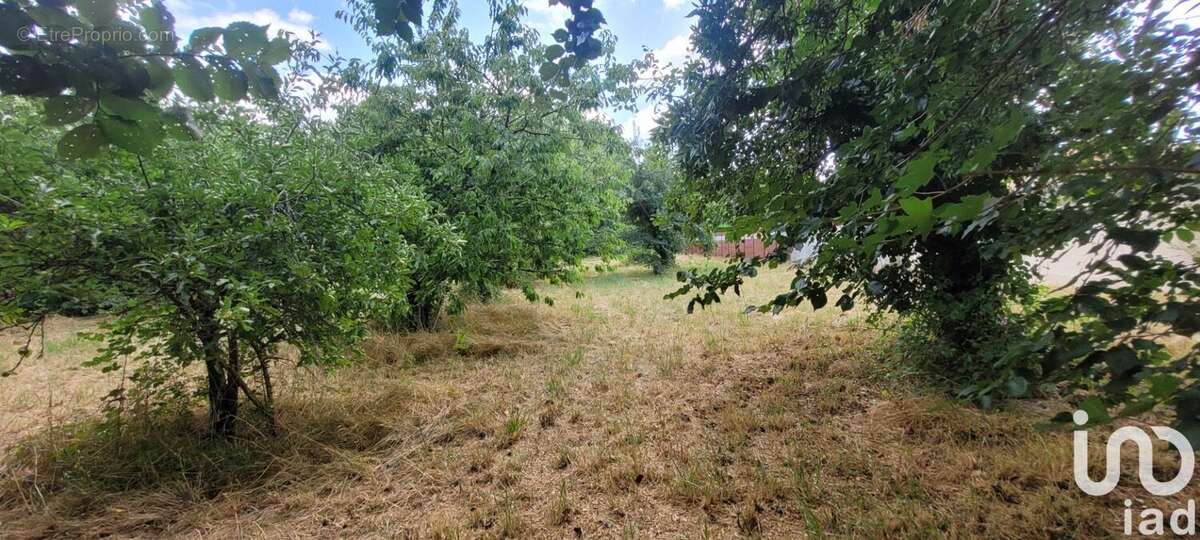 Photo 5 - Terrain à NANTILLE