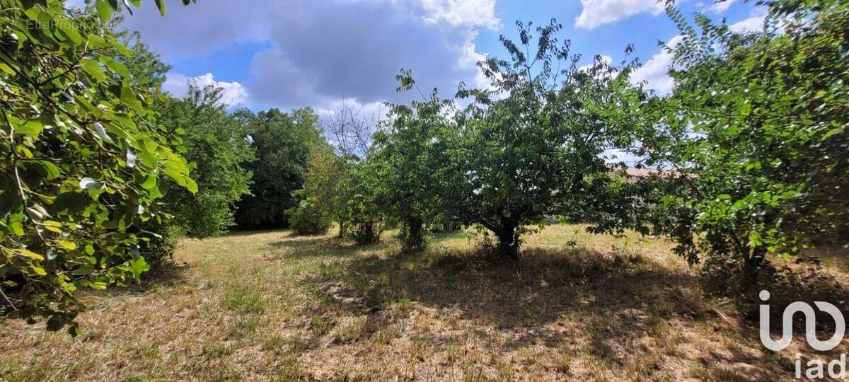 Photo 6 - Terrain à NANTILLE