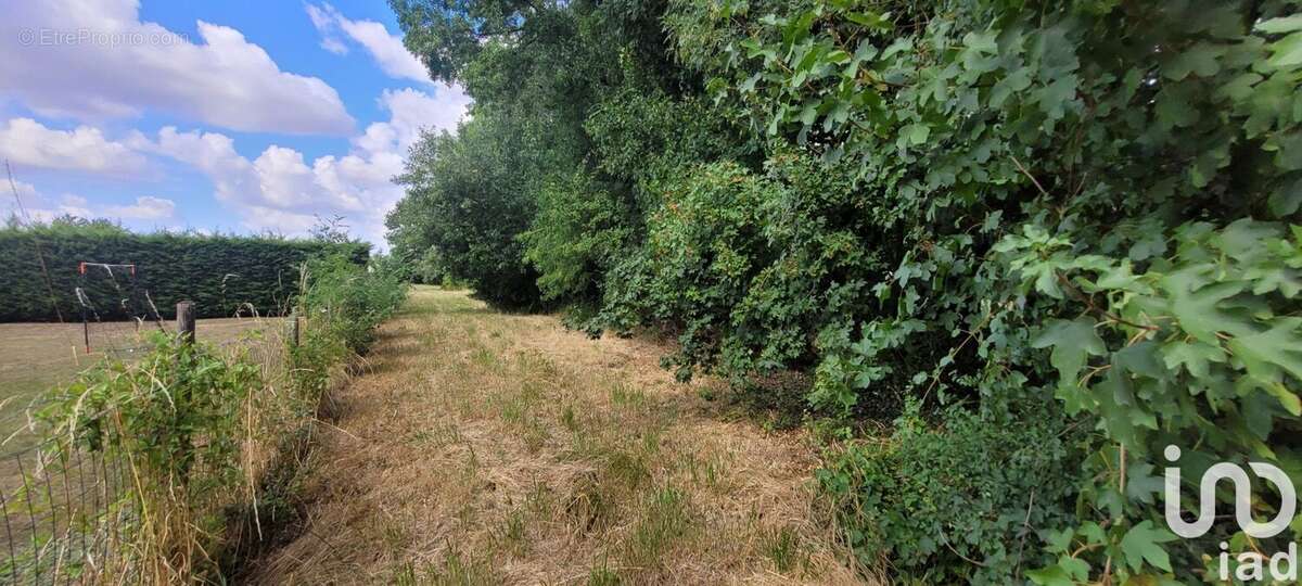 Photo 7 - Terrain à NANTILLE