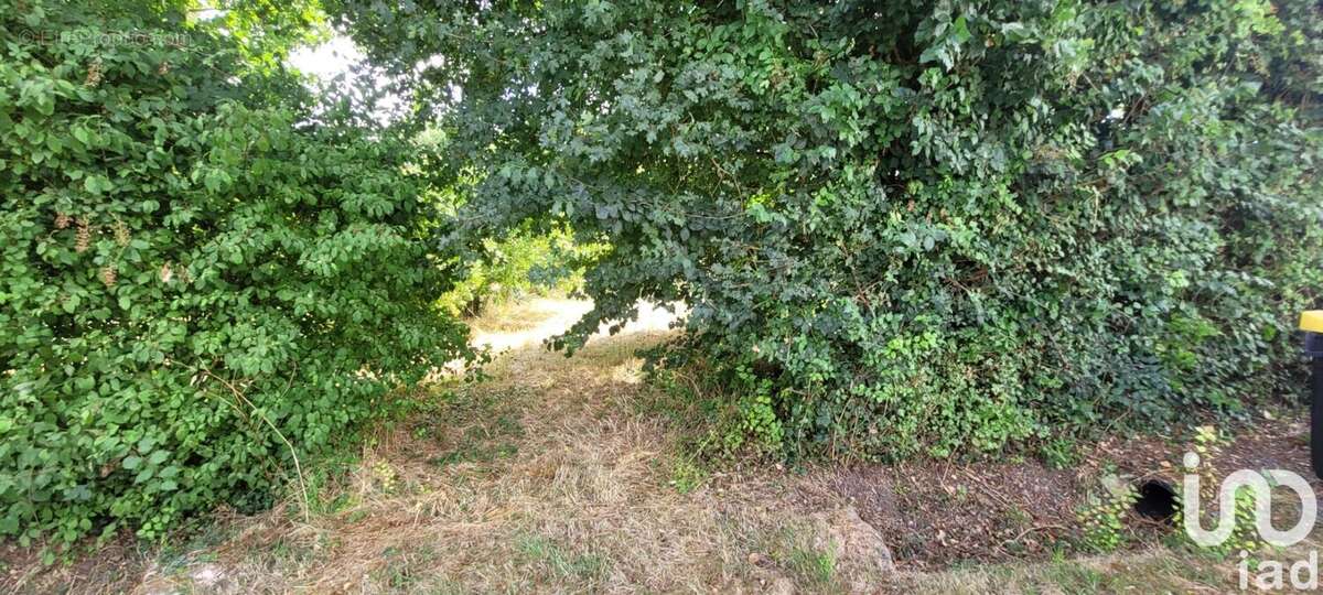 Photo 8 - Terrain à NANTILLE