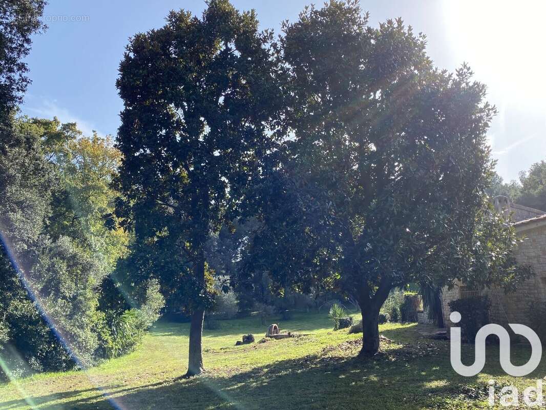 Photo 6 - Maison à MOUGINS