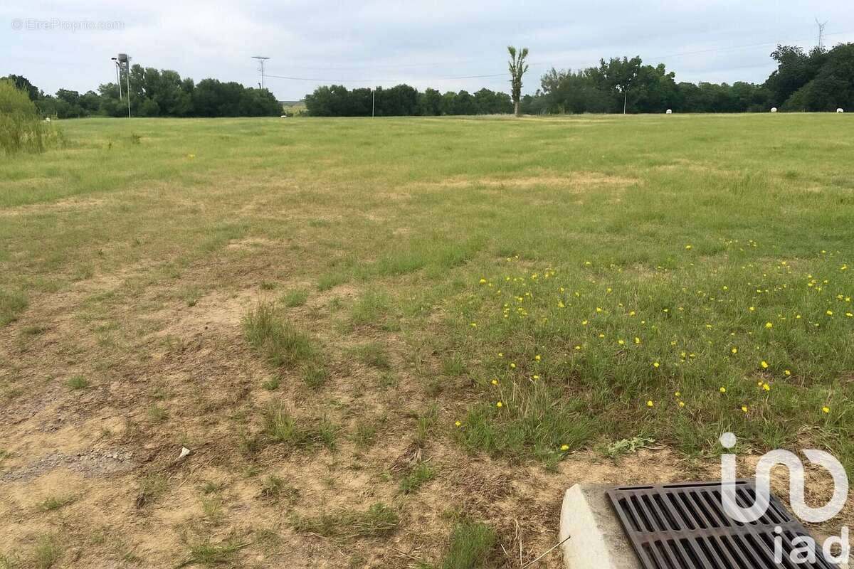 Photo 2 - Terrain à SAINT-SARDOS