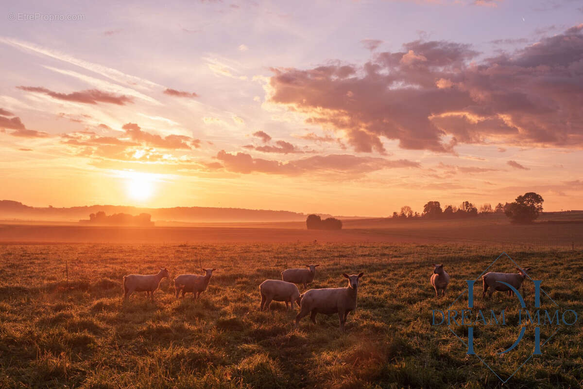 Vue campagne - Maison à PANILLEUSE
