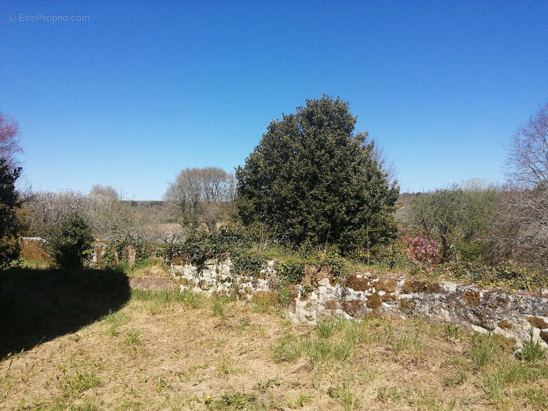 Maison à LA TOUR-BLANCHE