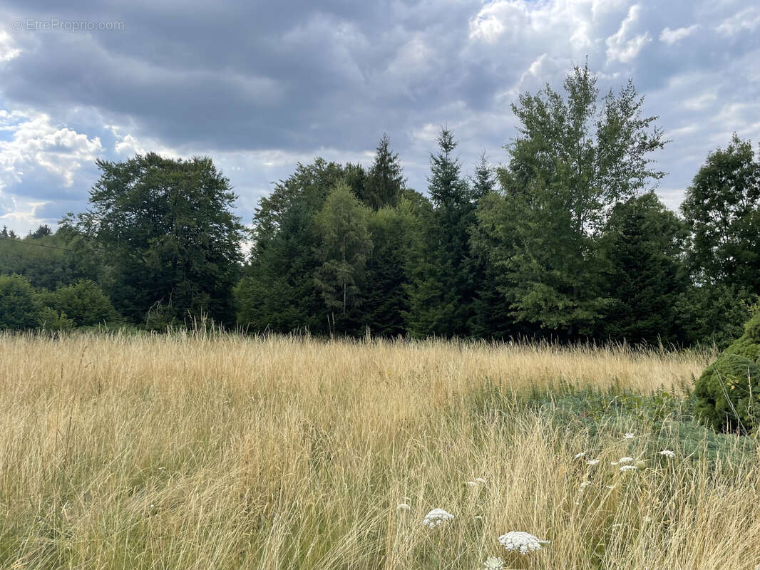 Maison à SAINT-NICOLAS-DES-BIEFS
