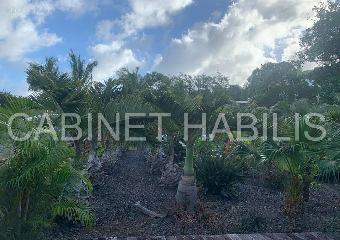 Maison à SAINT-PHILIPPE