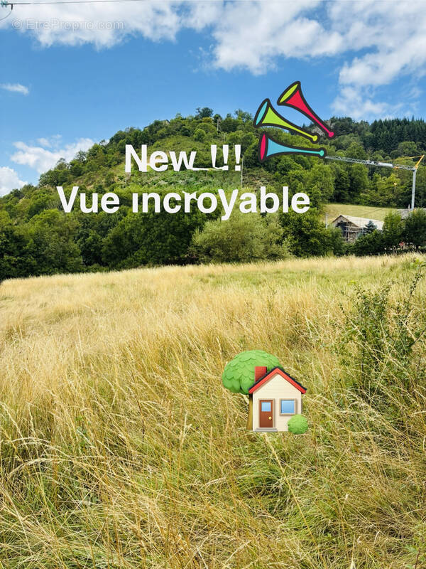 Terrain à YSSINGEAUX