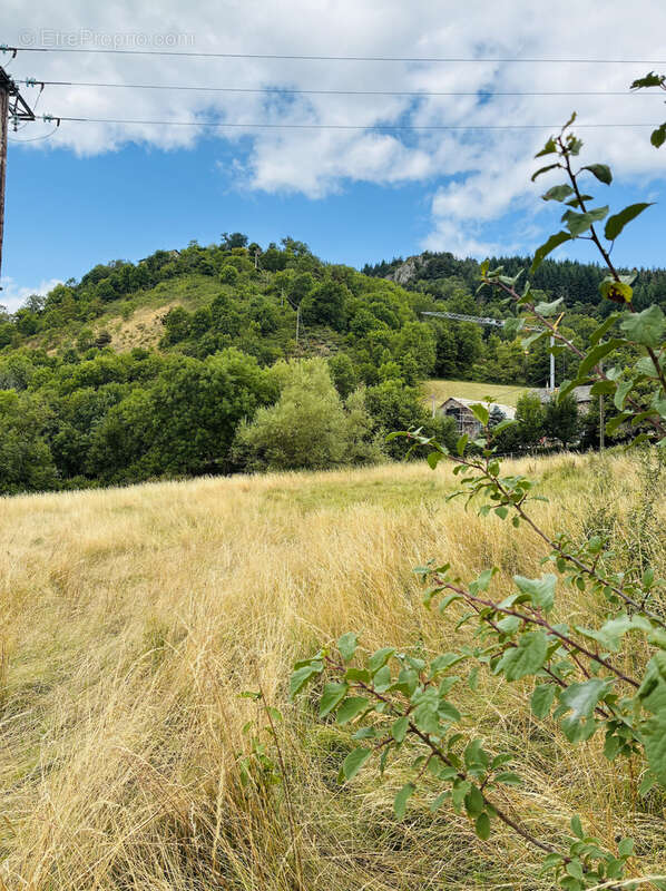 Terrain à YSSINGEAUX